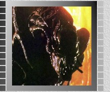 Aliens