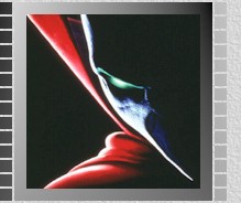 Spawn